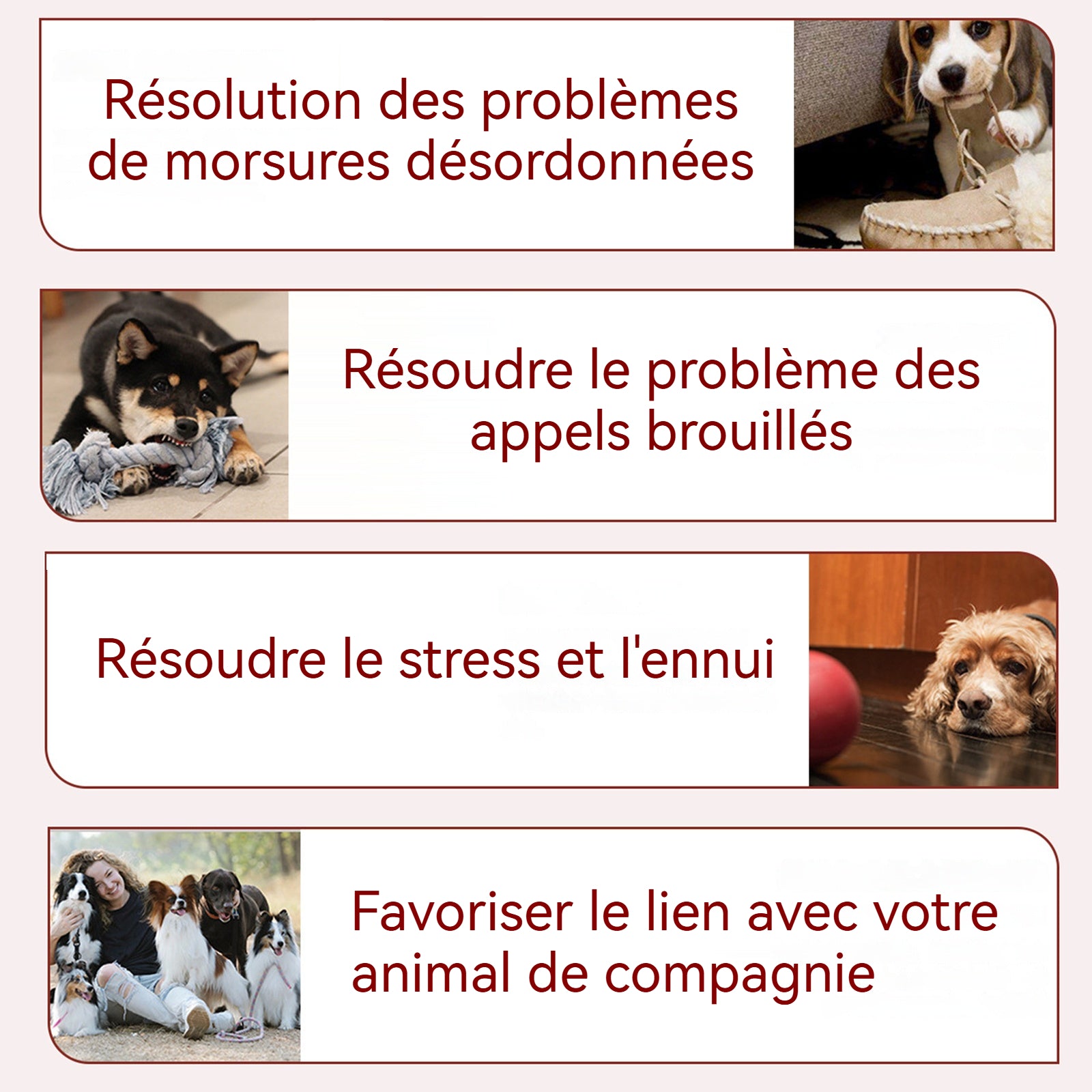 Jouets pour animaux de compagnie 4PCS nettoyage des dents résistant aux morsures de corde Corde dentition résistante aux morsures