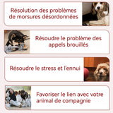 Jouets pour animaux de compagnie 4PCS nettoyage des dents résistant aux morsures de corde Corde dentition résistante aux morsures