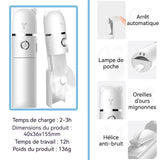 Vapeur pour le visage 1200mah Ventilateur portatif multifonctionnel chargement USB nano spray hydratant humidificateur facial