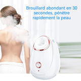 Vapeur pour le visage 280W Vaporisateur vapeur pour le visage Nano Humidificateur à vaporisation domestique Réservoir d'eau de 180ml