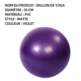 Ballon de yoga épaissie balle de yoga 55 cm gonflable yoga fitness balle d'équilibre pvc épaissi balle de yoga givrée violet