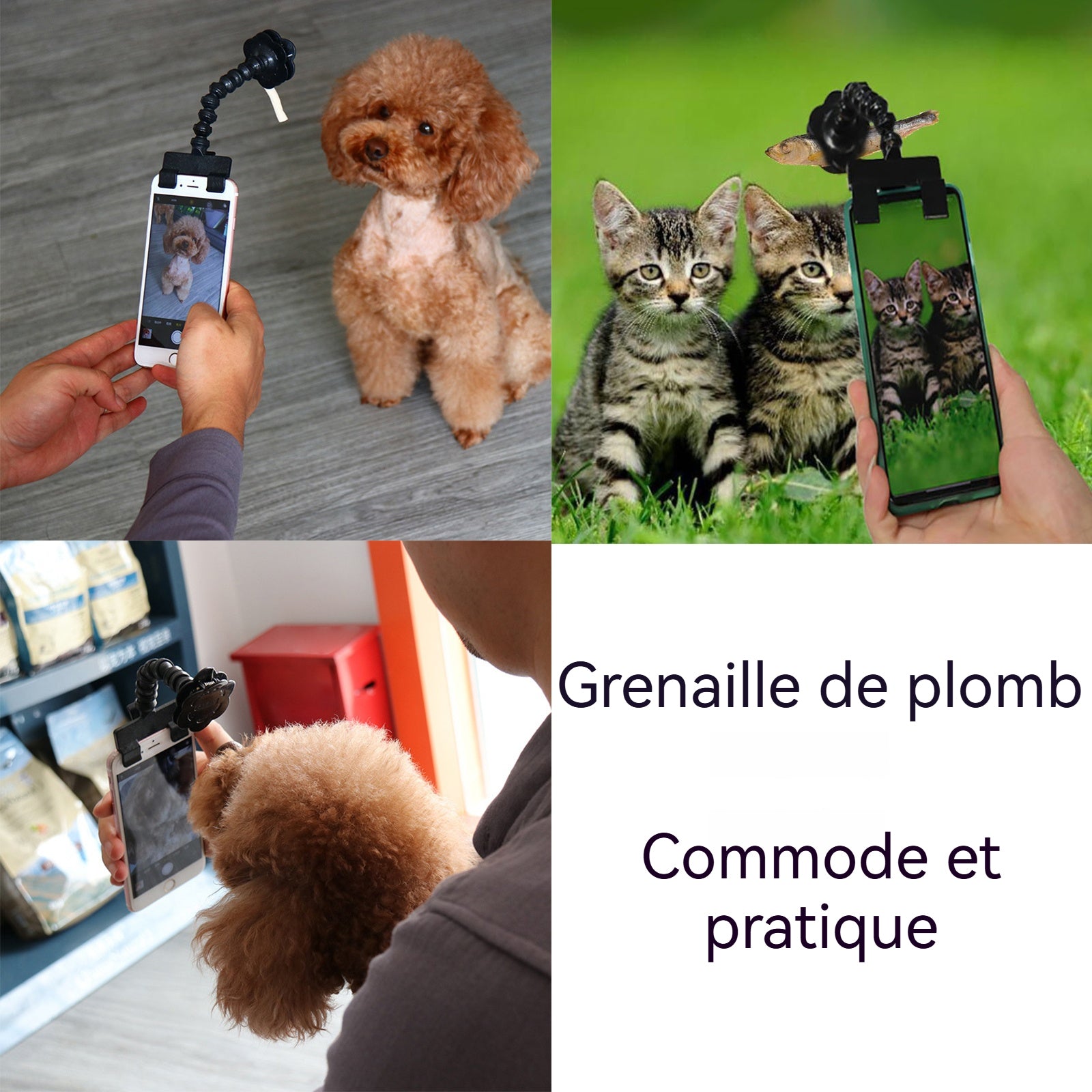 Perche à selfie pour animaux fournitures pour chats et chiens laisser votre animal regarder l'appareil photo perche selfie noir