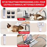 Aspirateur poil de chien 14kPa chat avec divers outils de toilettage 3L silencieuse ultra récipient pour tous les chiens et chats