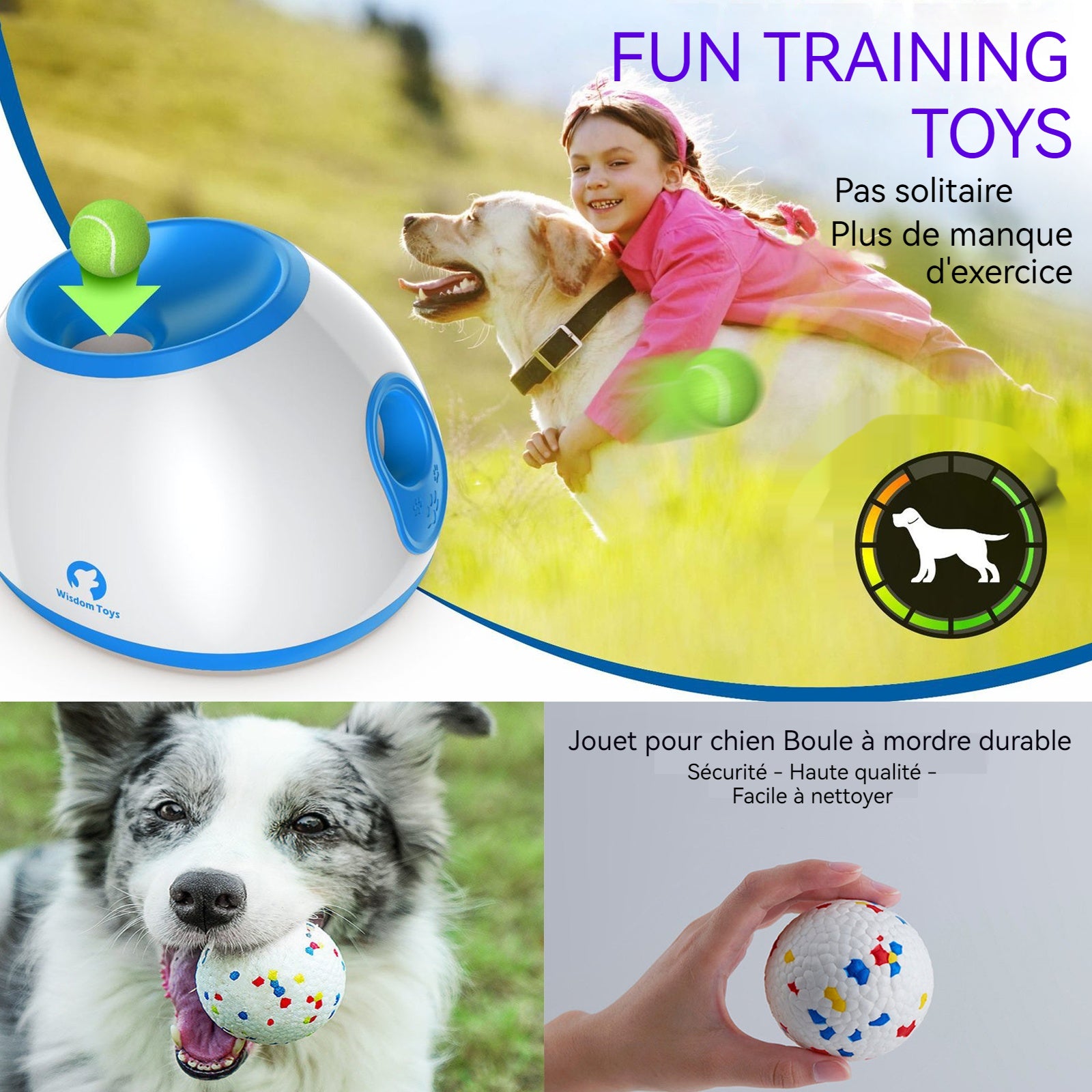 Lanceur automatique de balle 28x26.5x20.5cm lanceur de lanceur de balles pour animaux de compagnie jouet d'entraînement pour chien