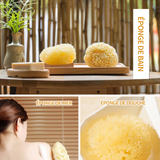 Éponge de bain 10cm éponge de mer naturelle bio grande  éponge de douche nid d'abeille haute qualité durable exfoliante de bain