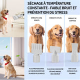 Aspirateur poil de chien 14kPa chat avec divers outils de toilettage 3L silencieuse ultra récipient pour tous les chiens et chats
