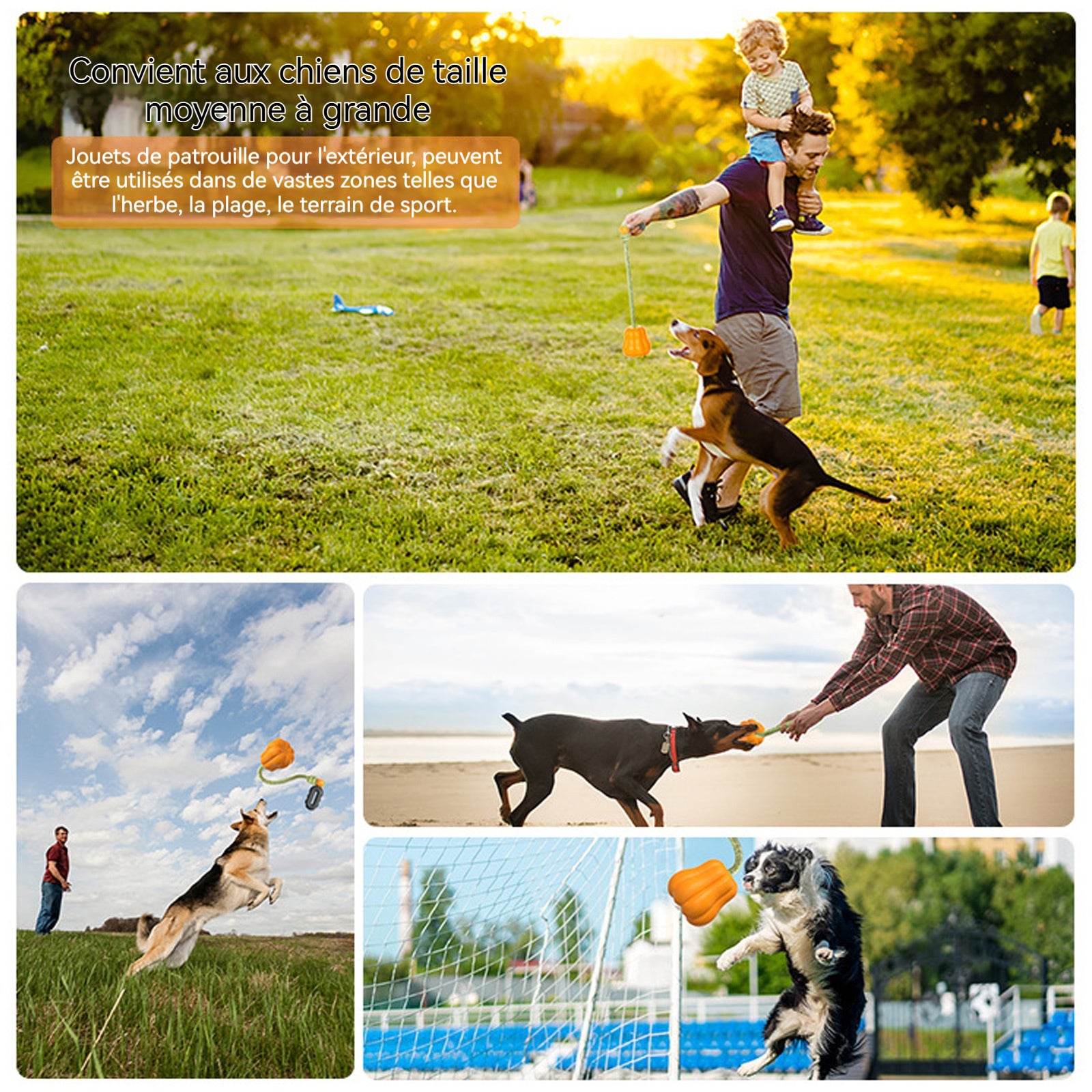 jouet interactif citrouille pour chien Avec poignée extérieur jouets de récupération pour chiens Jouet Mâcher pour chien durable
