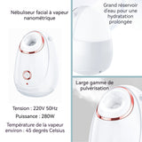 Vapeur pour le visage 280W Vaporisateur vapeur pour le visage Nano Humidificateur à vaporisation domestique Réservoir d'eau de 180ml