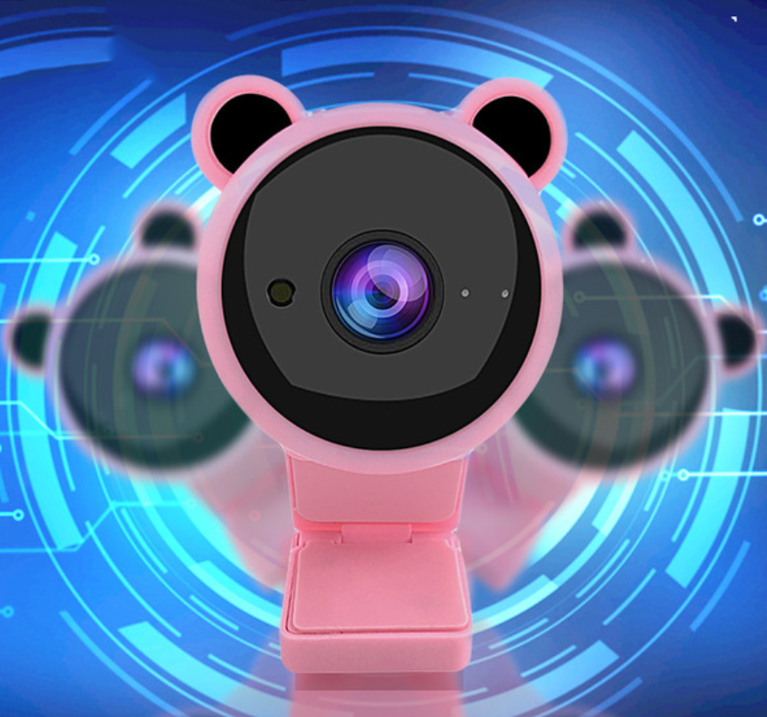 INN® Ordinateur d'enseignement en ligne haute définition 1080P sans pilote Panda webcam USB