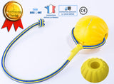 TD® Jouet balle interactive pour animaux de compagnie chien chat couleur anneau attraper jeux s'amuser lancer dentition frisbee soup