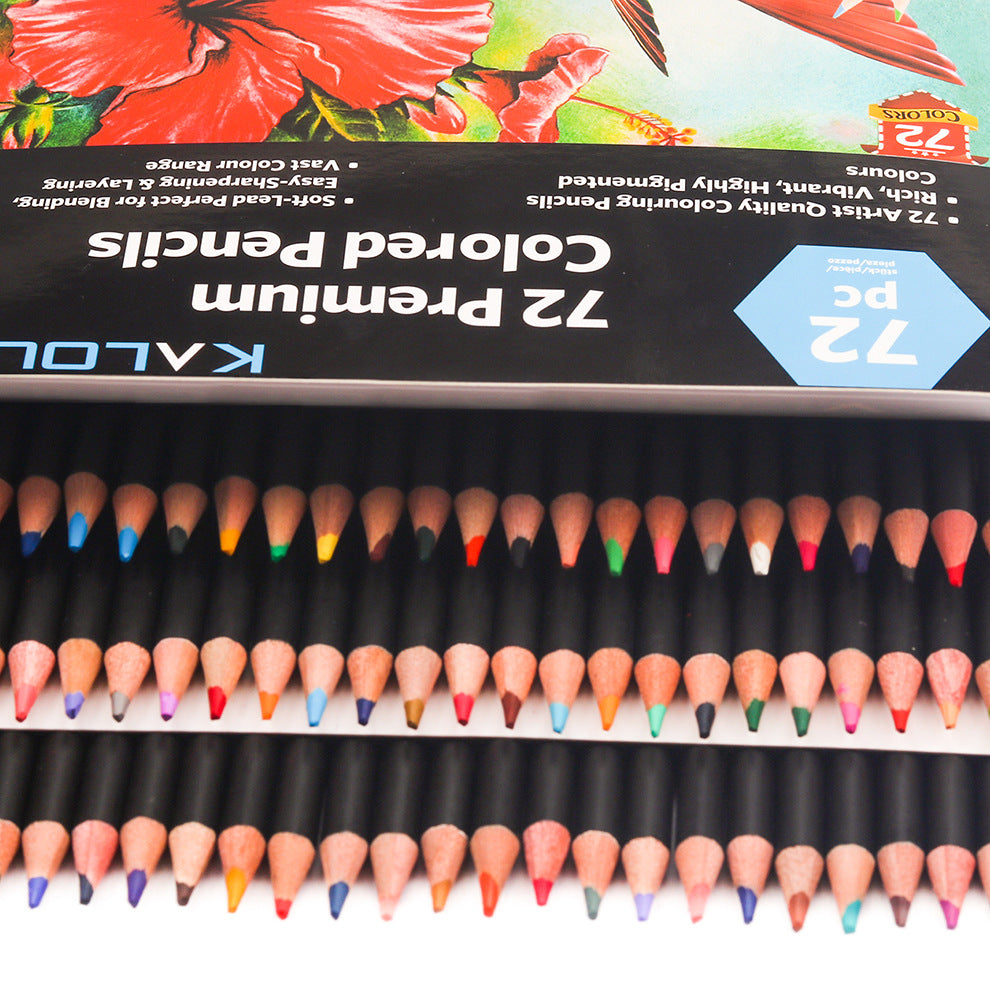 Ensemble de crayons de couleur huileux peints à la main pour débutants professionnels 72 couleurs