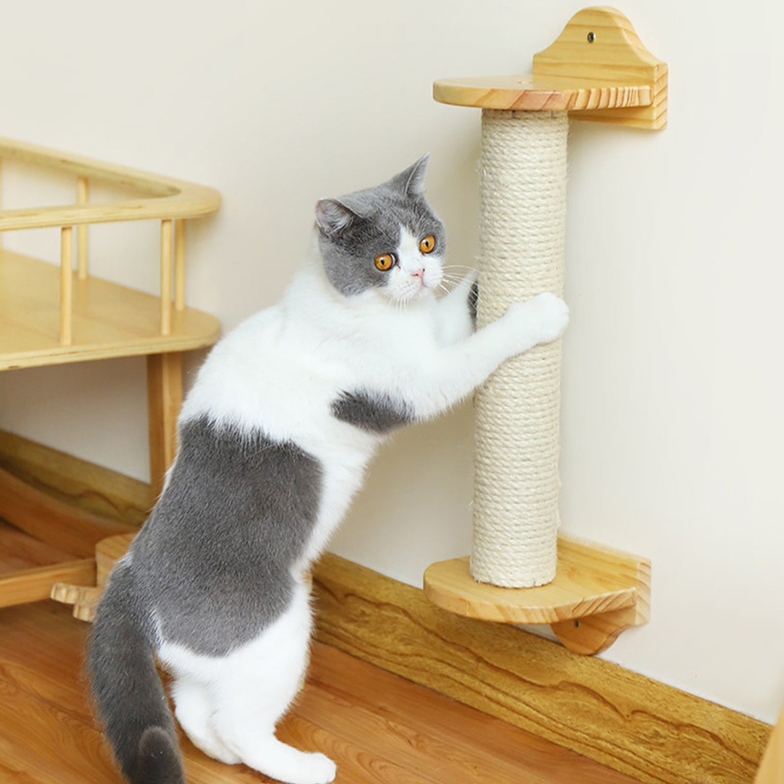 Arbre pour chat beige