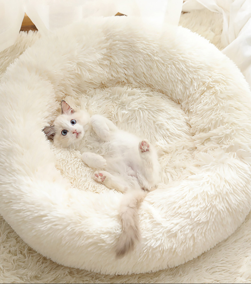 TD® Lit de Chat, Lit de Chien, Coussin pour Chat, Panier, Litière, Extra-Doux Confortable et Mignon, Coussin Lavable, 50cm