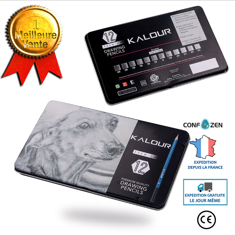 Ensemble d'outils Ensemble de crayons Croquis Crayon Art Peinture Ingénierie Dessin Conception Dessin Crayon Ensemble de 12 p