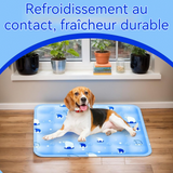 oussin d'assise 2PCS 45x45cm coussin d'eau pour voiture coussin rafraîchissant pour animaux sans injection de gel d'eau bleu