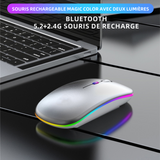 Souris sans fil Bluetooth 2.4 G Bluetooth Dual Mode Rechargeable Mouse Silent Light Computer Laptop Office Gaming Mouse Argenté