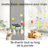 jouets suspendus pour chats 5PCS à suspendre à la porte pour animaux de compagnie en corde élastique résistante aux morsures