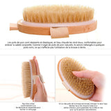 Brosse Dos Douche Démontable Soies de Sanglier & Bois Manche Long Nettoyage Profond Exfoliation Douce Peau Sensible Massage Naturel