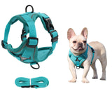 Laisse pour chat pour animaux de compagnie Laisse pour animaux de compagnie Harnais pour chien Harnais pour chat respirant