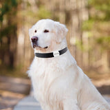 GPS nouveau dispositif pour animaux de compagnie Mini étanche Bluetooth dispositif Anti-perte chien chat Tracker Pet Finder