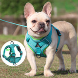Laisse pour chat pour animaux de compagnie Laisse pour animaux de compagnie Harnais pour chien Harnais pour chat respirant