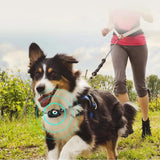 Collier gps 4G avec lumières LED colorées GPS BDS traqueur d'animaux traceur gps pour animaux localisateur pour chats et chiens