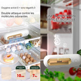 Désodorisant pour Réfrigérateur Ozone Denerateur Purificateur D'air  Destructeur d'odeur pour réfrigérateur Placard à Chaussures