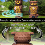 Répulsif 12 mètres Capteur grand angle extérieur 120 degrés Vision nocturne Capteur respectueux  l'environnement répulsif moustique