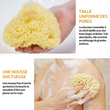 Éponge de bain 10cm éponge de mer naturelle bio grande  éponge de douche nid d'abeille haute qualité durable exfoliante de bain