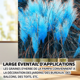 Pampas 300pcs pampas herbe graines pour jardin graines d’herbe de pampas graines de jardin bureau à domicile décoration jardin