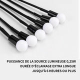 Lampe solaire étanche lampe LED solaire adapté pour jardin cour pelouse éclairage extérieur scène de nuit lampadaire double mode