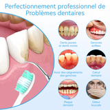 Détartreur Dentaires 2 en 1 Brosse à Dents Électrique étanche IPX6 pour Hydropulseurs et Irrigateurs pour Détartrage Dentaire