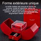 offret cadeau en forme de pomme rouge fête des mères cadeaux créatifs papier respectueux de l'environnement gift parfait rouge