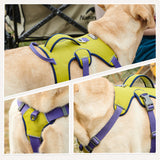Poitrine et dos de chien grandes fournitures pour animaux de compagnie de corde de traction anti-morsure forte anti-déflagrante
