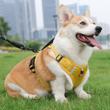 Harnais pour animaux de compagnie anti-explosion poinçonnage gros chien harnais réfléchissant laisse de chien de transport