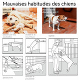 ollier anti aboiement chien avec télécommande lot de 2 rechargeable étanche 3 modes réglables collier anti aboiement pour chiens