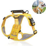 Harnais pour animaux de compagnie anti-explosion poinçonnage gros chien harnais réfléchissant laisse de chien de transport