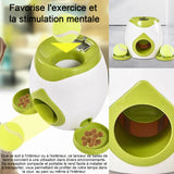 Lanceur automatique 29x18 cm lanceur de lanceur balles pour animaux de compagnie jouet d'entraînement apportez deux balles de tennis