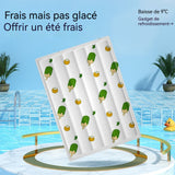 Tapis d'eau pour chat 55 x 70 cm résistant aux rayures imperméable et résistant à l'humidité doux et confortable facile nettoyer