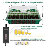 2 Piece Greenhouse Nursery Box Kit 80 Holes Green Hand Tools Nursery Light Kit Mini Greenhouse Sprouting Box Seed Culture Boxes