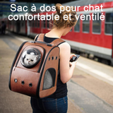 Sac transport chat 33x22x39cm les deux poches latérales peuvent être pliées pour un rangement facile tissu en cuir confortable