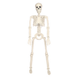 Squelette 90cm halloween squelette lumineux décoration squelette simulé pouvant se tenir debout et se suspendre décoration de fête