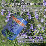 Graines de romarin boîtes de graines créatives mini plantes en pot peuvent graines 9x6.5 cm bureau en boîte semis plantes ornemental