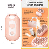 Brosse à vapeur électrique pour chat 3 en 1 11x6cm 34ml brosse vapeur pour chat rechargeable brosse de toilettage pour animaux