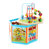 Jeux Montessori 6 en 1 Jouet Enfant 3 4 5 6 Ans-6 Faces d'Activités Animaux Formes Labyrinthe Balles en Bois Jeu de Tri Alignement