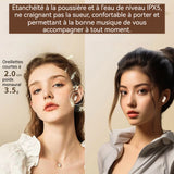 Écouteurs bluetooth 200mAh IPX5 autonomie environ 6 heures interface Type-C écran LED écouteurs de sport réduction du bruit 12D