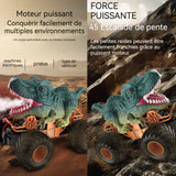 Voiture télécommandée 2.4GHZ jouet dinosaure telecommande garcons mouvements realistes robot radiocommande avec manette de controle