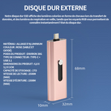 Disque dur externe 1TB SSD NVME 2500M taux de lecture taux d'écriture de 1500M type-c + usb 3.1 transmission à deux ports rose