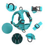 Laisse pour chat pour animaux de compagnie Laisse pour animaux de compagnie Harnais pour chien Harnais pour chat respirant