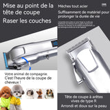 Rasoir pour animaux professionnel haute puissance sans fil affichage numérique tondeuse pour animaux multifonction tondeuse chat